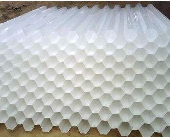 ���Ƿ�C��s������